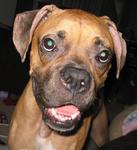 RiceBurn2.3T's Avatar