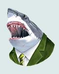 MrShark's Avatar