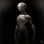 Prediluted's Avatar