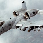 zspalm1's Avatar