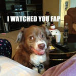 bobbylight707's Avatar