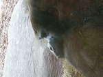 josel's Avatar