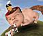 Campo's Avatar