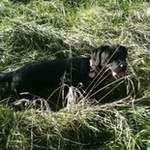 thered rocket's Avatar